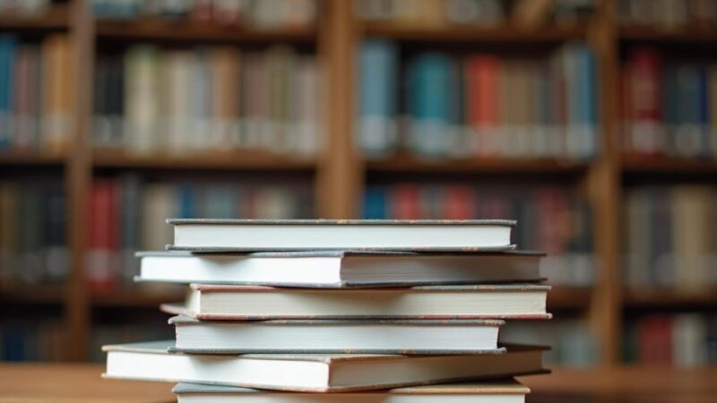 Gminna Biblioteka w Jeleśni wyróżniona w projekcie „Biblioteki pełne Dobrej Energii”!