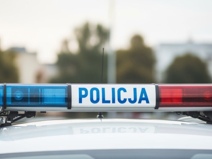 Akcja Policji i Leśników: Walka z Nielegalnym Wjazdem Pojazdów do Lasów w Jeleśni
