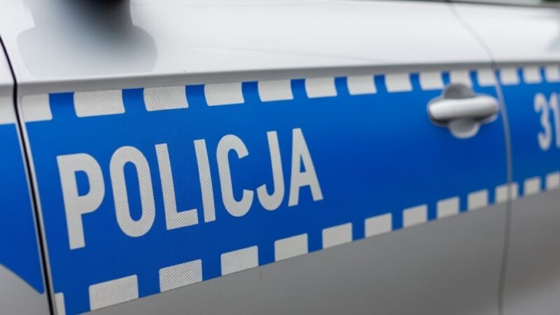 Mediacja 2025: Święto Rozwiązywania Konfliktów na Świecie