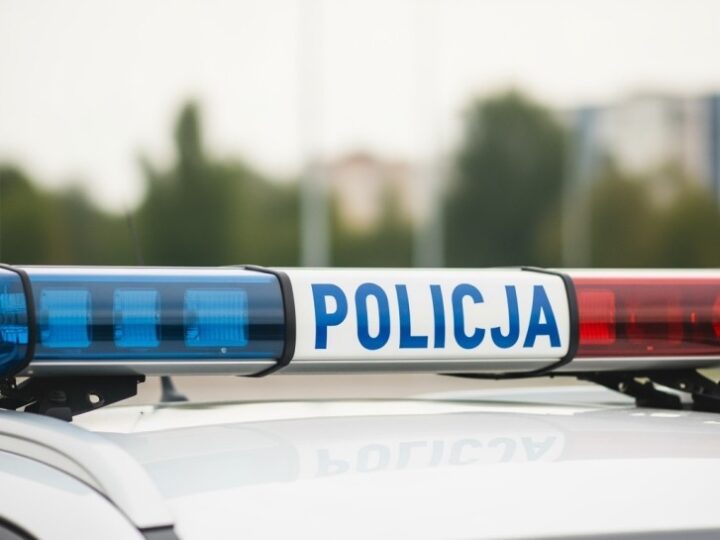 Kamera na drodze: Piesi i kierowcy pod lupą!