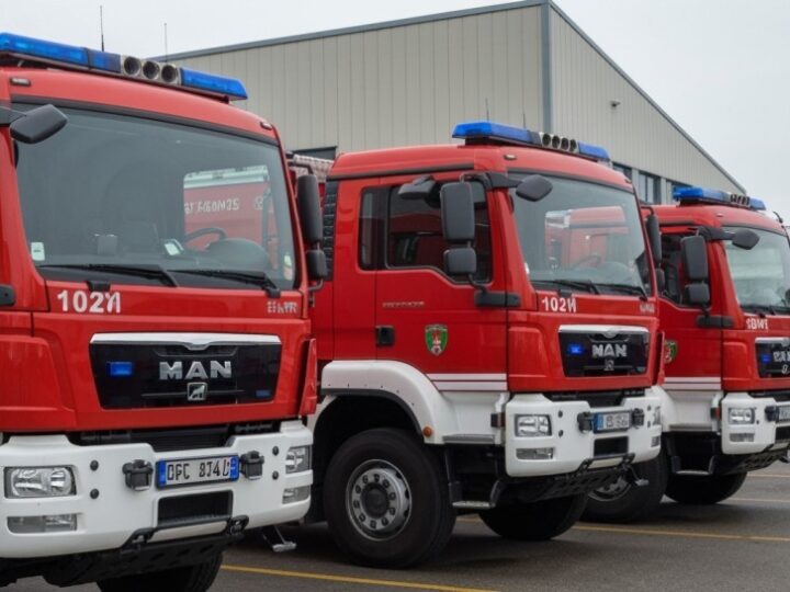 Polskie zespoły ratownicze w międzynarodowym treningu K-9 na Malcie