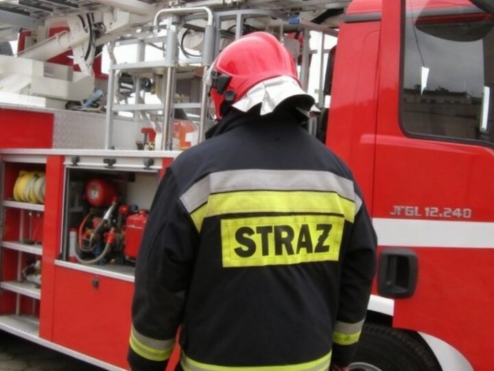 Drzewo na drodze w Lipowej – strażacy interweniują!