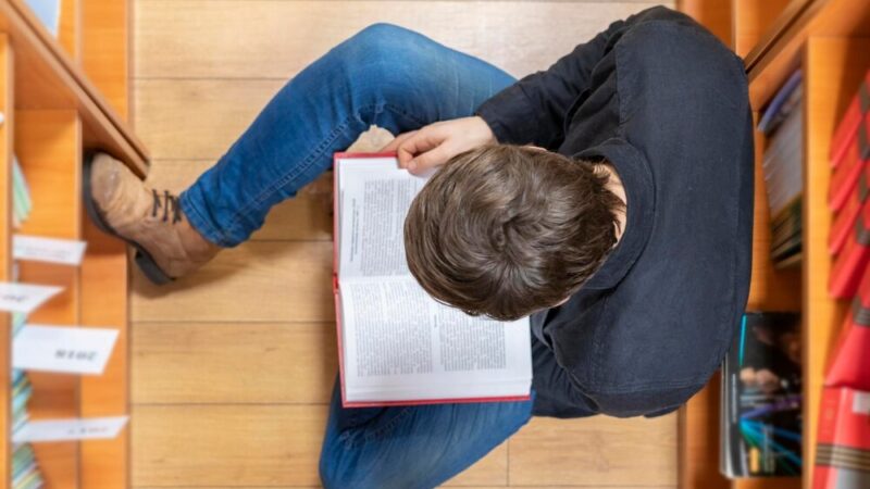 Bezpłatne warsztaty cyfrowe w Lipowej – zyskaj nowe umiejętności!