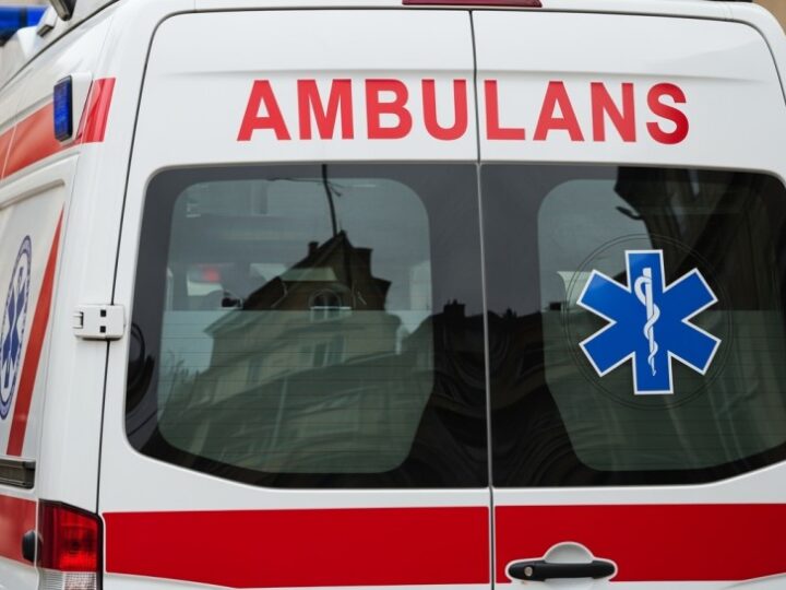 Międzynarodowy trening psów ratowniczych w Tatrach Słowackich