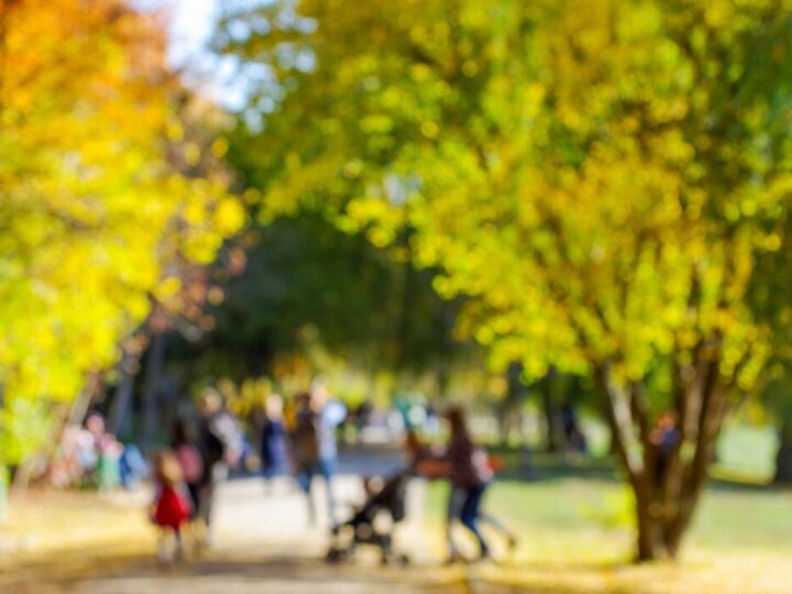 Nowe pokolenie mieszkańców Żywca