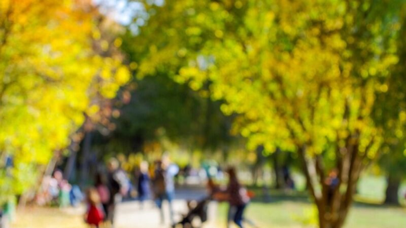 Nowe pokolenie mieszkańców Żywca