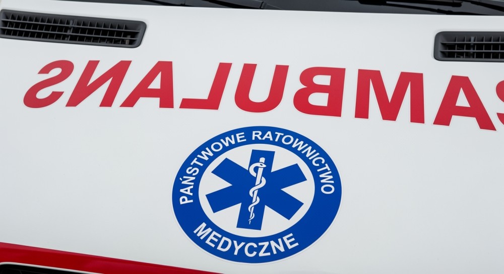 Odstrzał dzików w Żywcu i Jeleśni – odpowiedź na zagrożenie dla mieszkańców