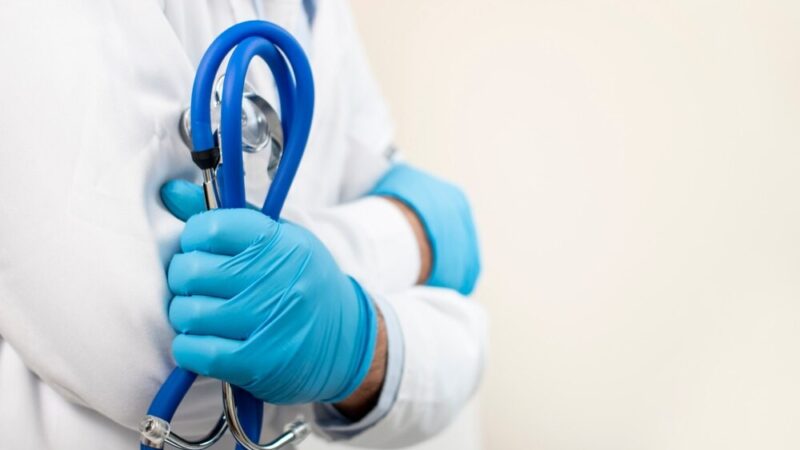 Szczepienia psów przeciwko wściekliźnie w Lipowej – poznaj szczegóły!