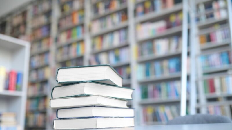 Michał Zgajewski w Lipowej: Odkryj tajemnice „Doliny czarownic”!