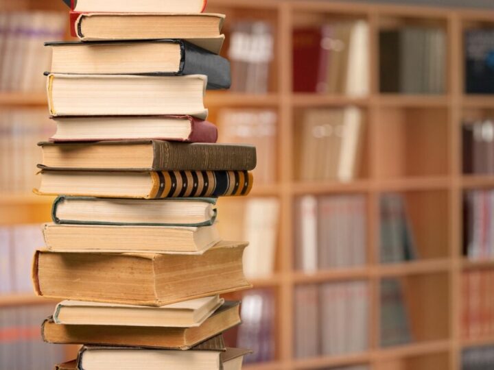 Literacki poranek z pisarką dla najmłodszych w Żywcu