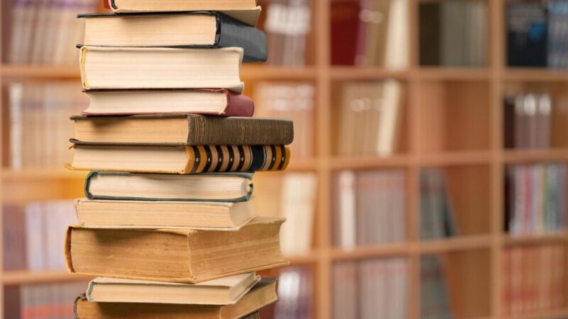 Literacki poranek z pisarką dla najmłodszych w Żywcu