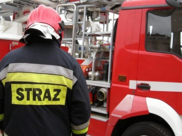 Zagrożenie w Lipowej: strażacy usuwają niebezpieczne drzewo!
