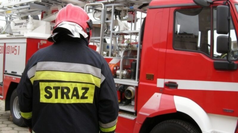 Zagrożenie w Lipowej: strażacy usuwają niebezpieczne drzewo!